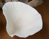 premium turbinaria coral